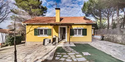 REMAX Lodonar - Picasso